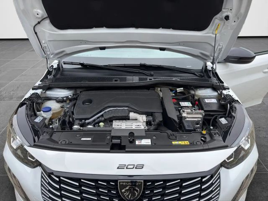 Peugeot e-208