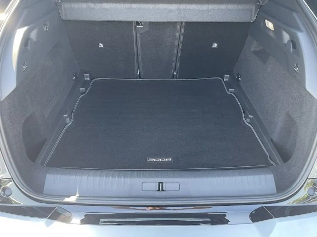 Peugeot E-3008