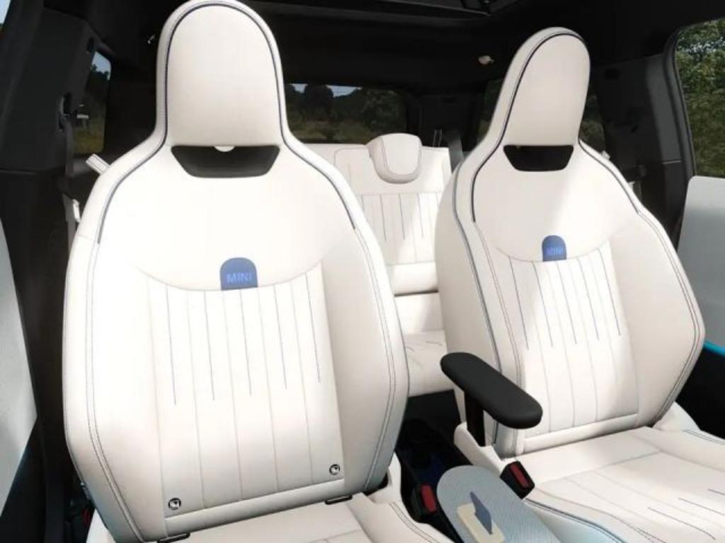 Mini Mini Electric