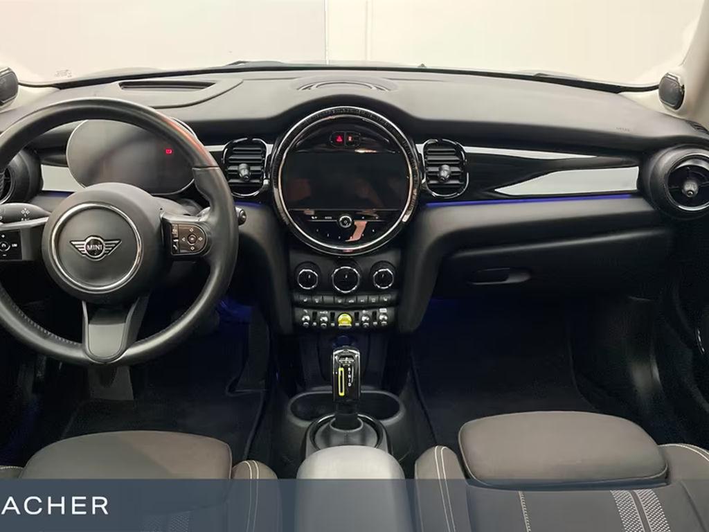 Mini Mini Electric