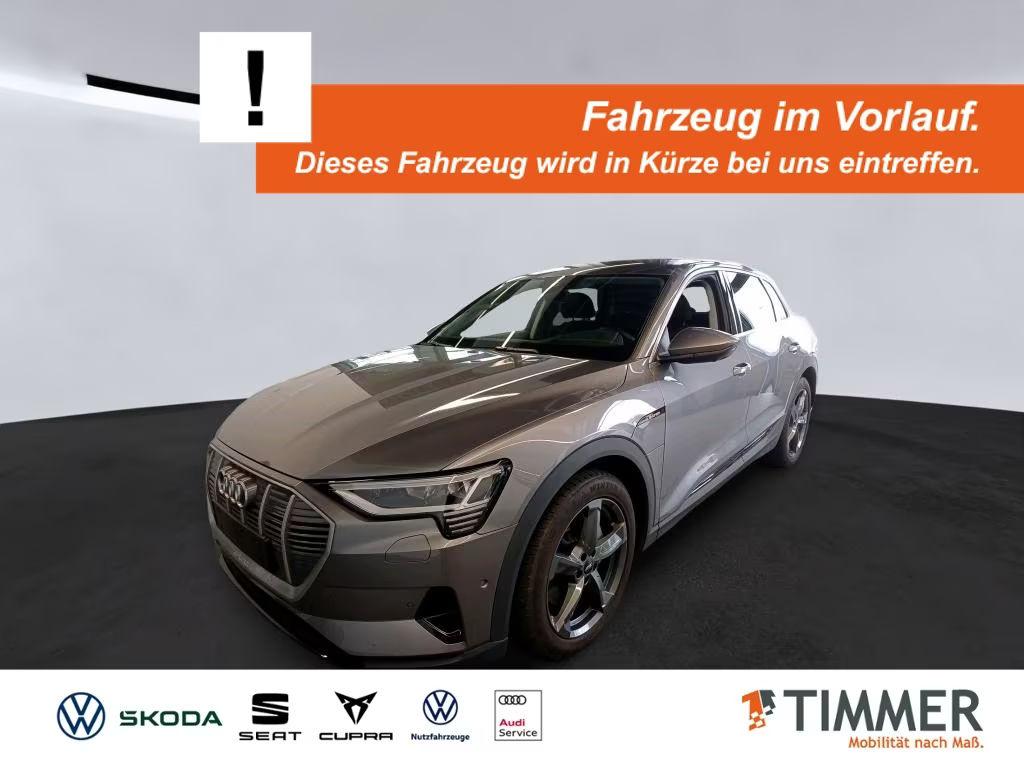Audi e-tron 2022 Elektrisch