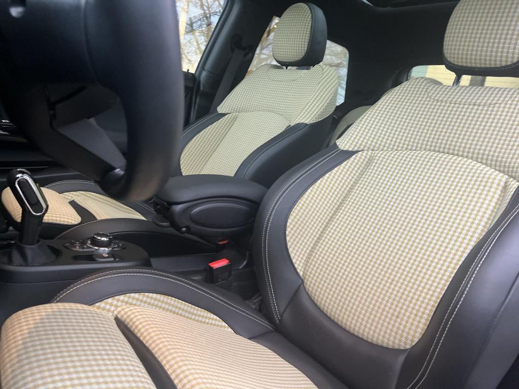 Mini Mini Electric