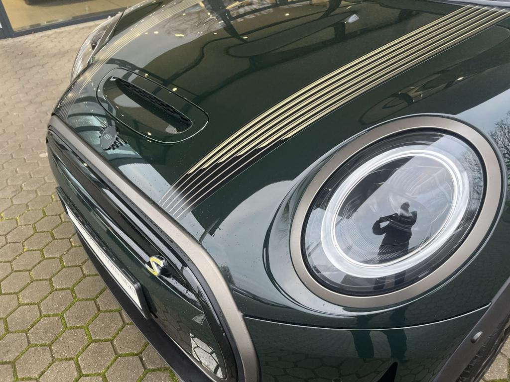 Mini Mini Electric