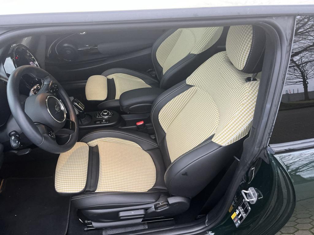 Mini Mini Electric