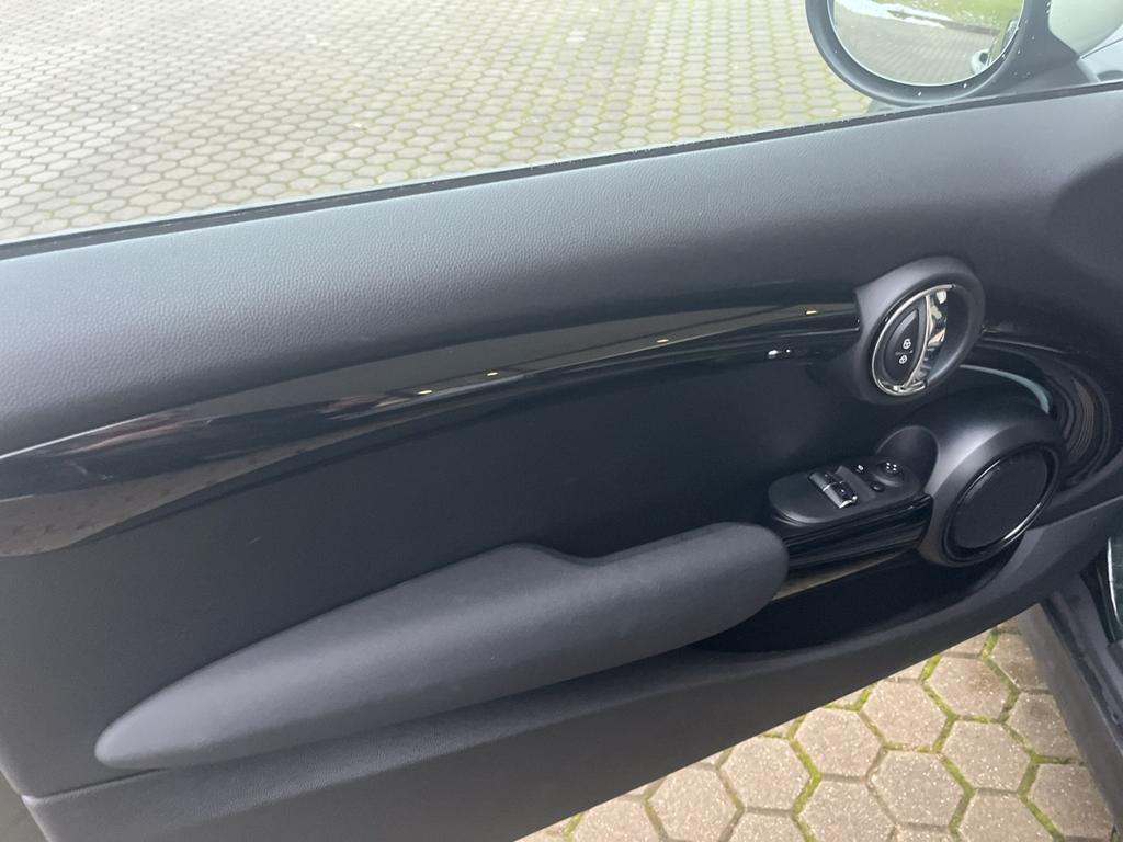 Mini Mini Electric