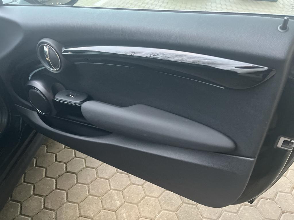 Mini Mini Electric