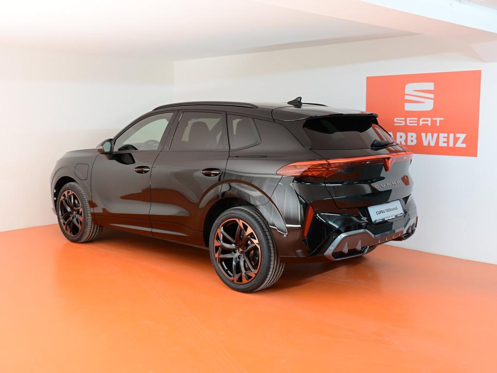 Cupra Terramar