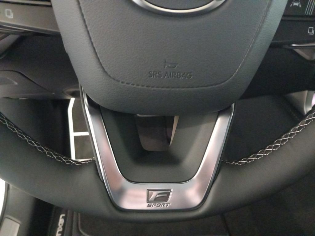 Lexus RX-Serie