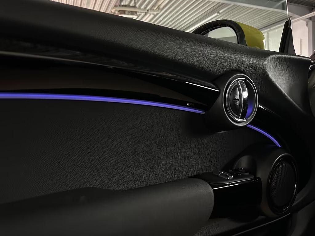 Mini Mini Electric