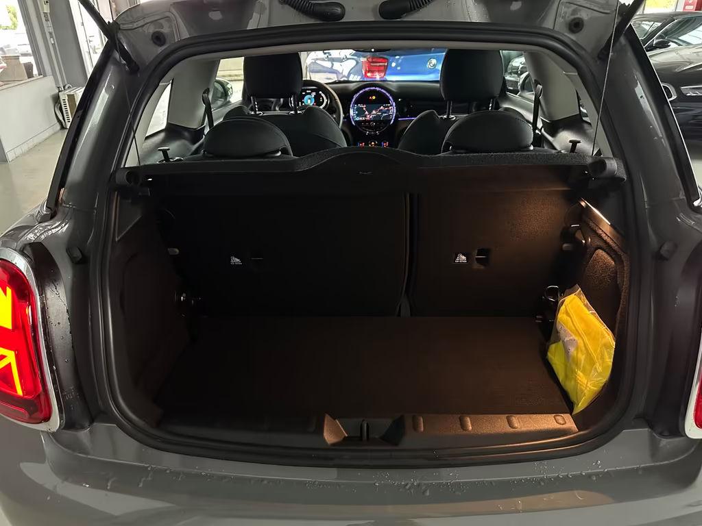 Mini Mini Electric