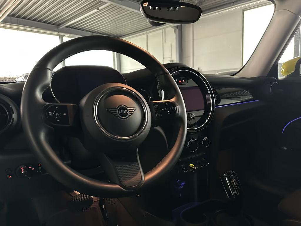 Mini Mini Electric