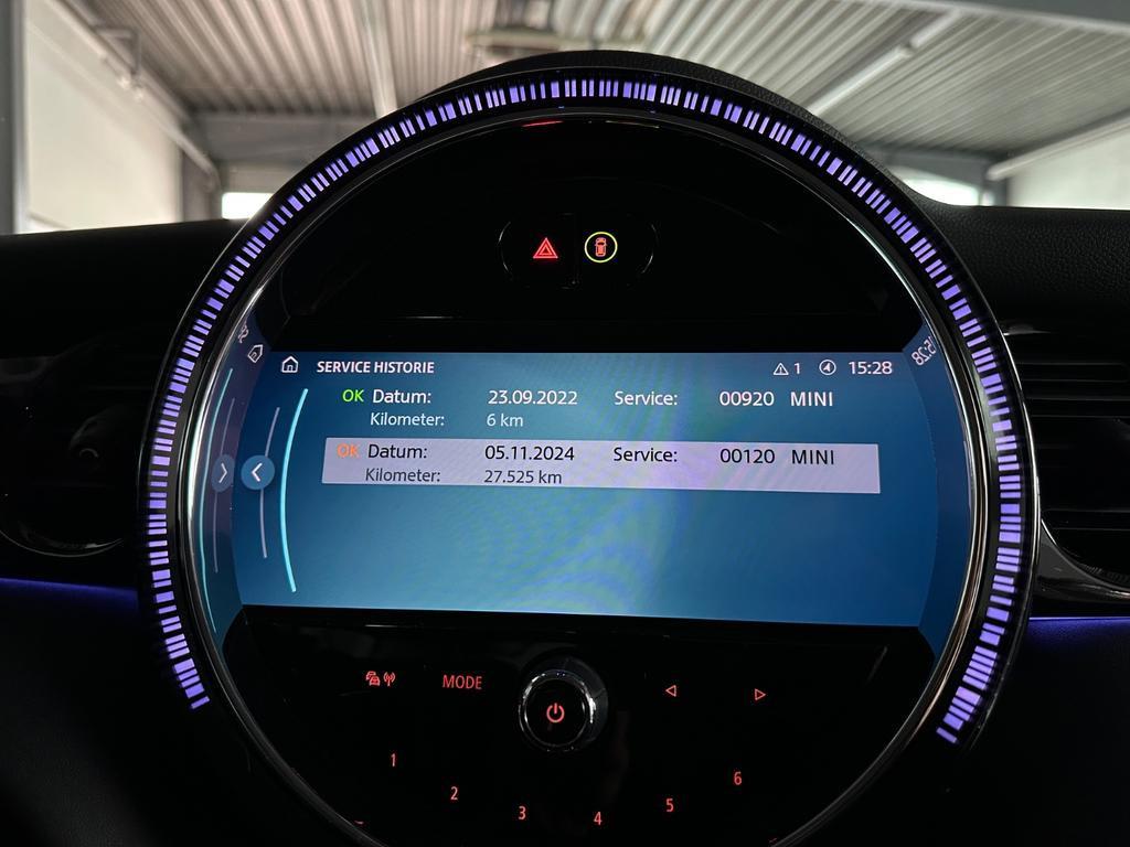 Mini Mini Electric
