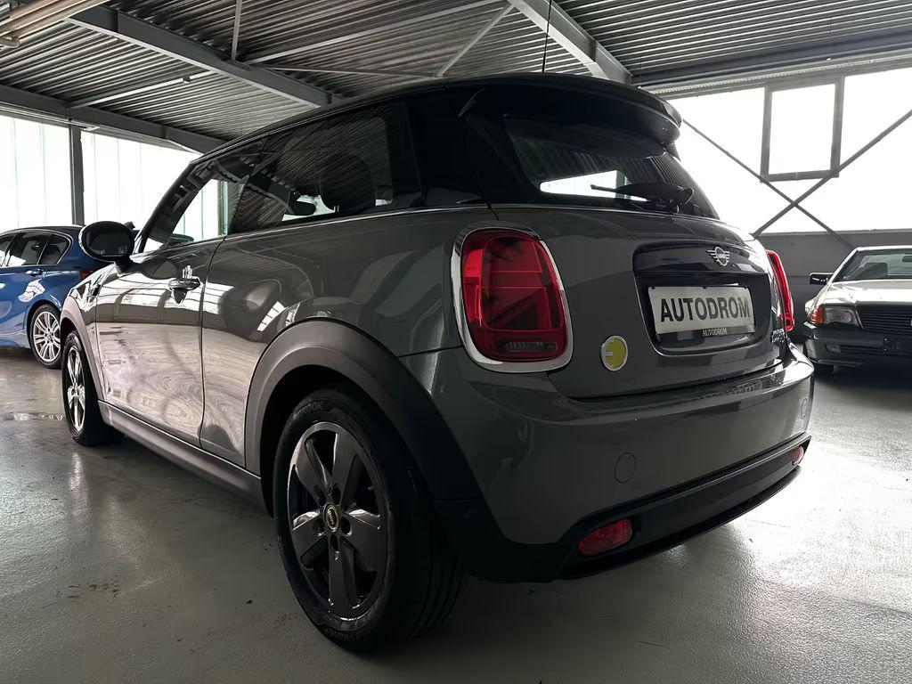 Mini Mini Electric