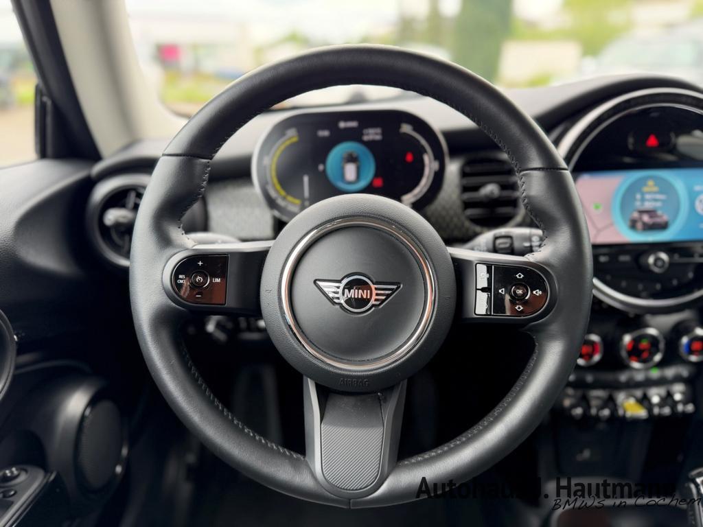 Mini Mini Electric