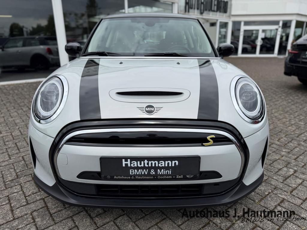 Mini Mini Electric