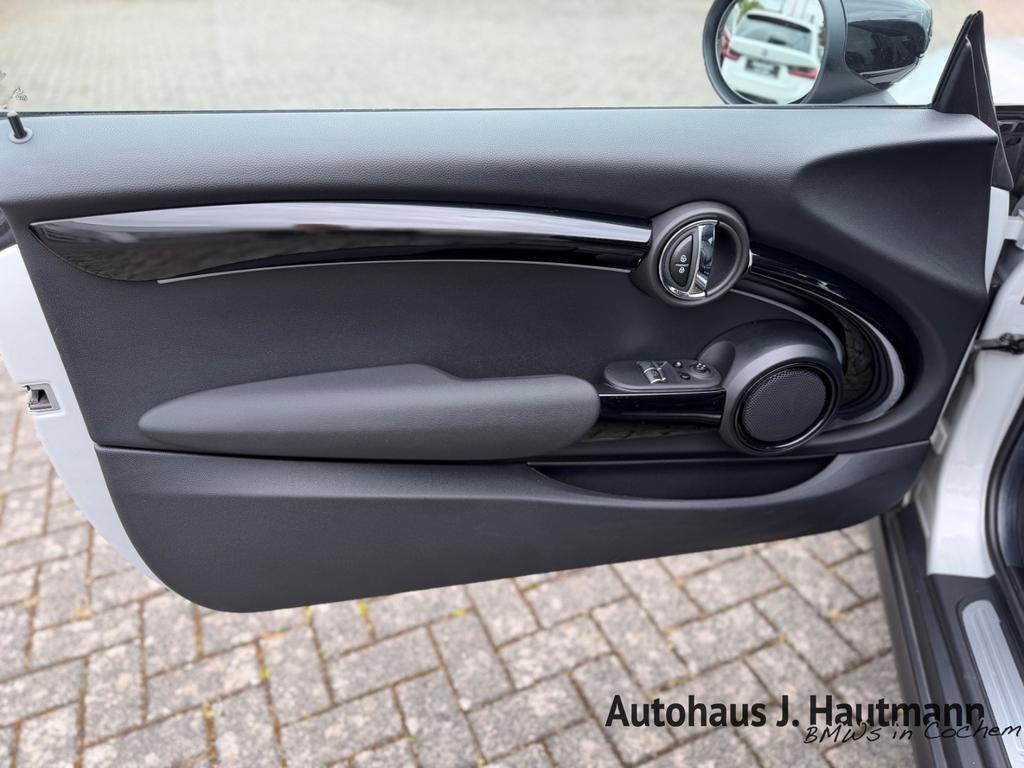 Mini Mini Electric