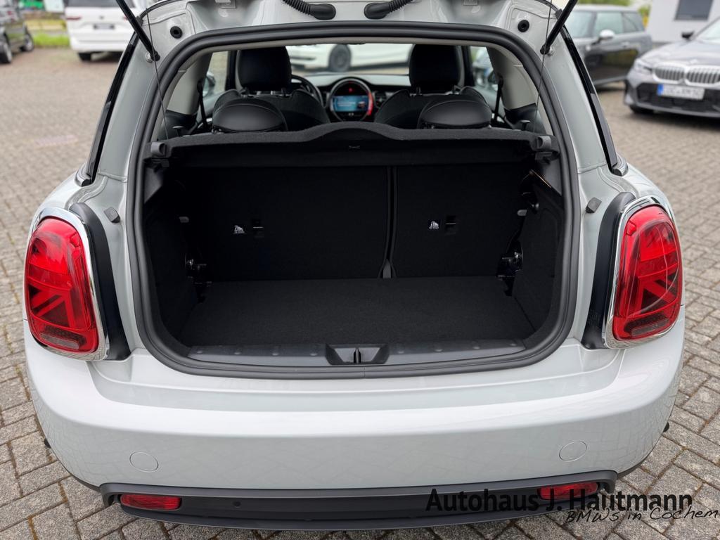 Mini Mini Electric
