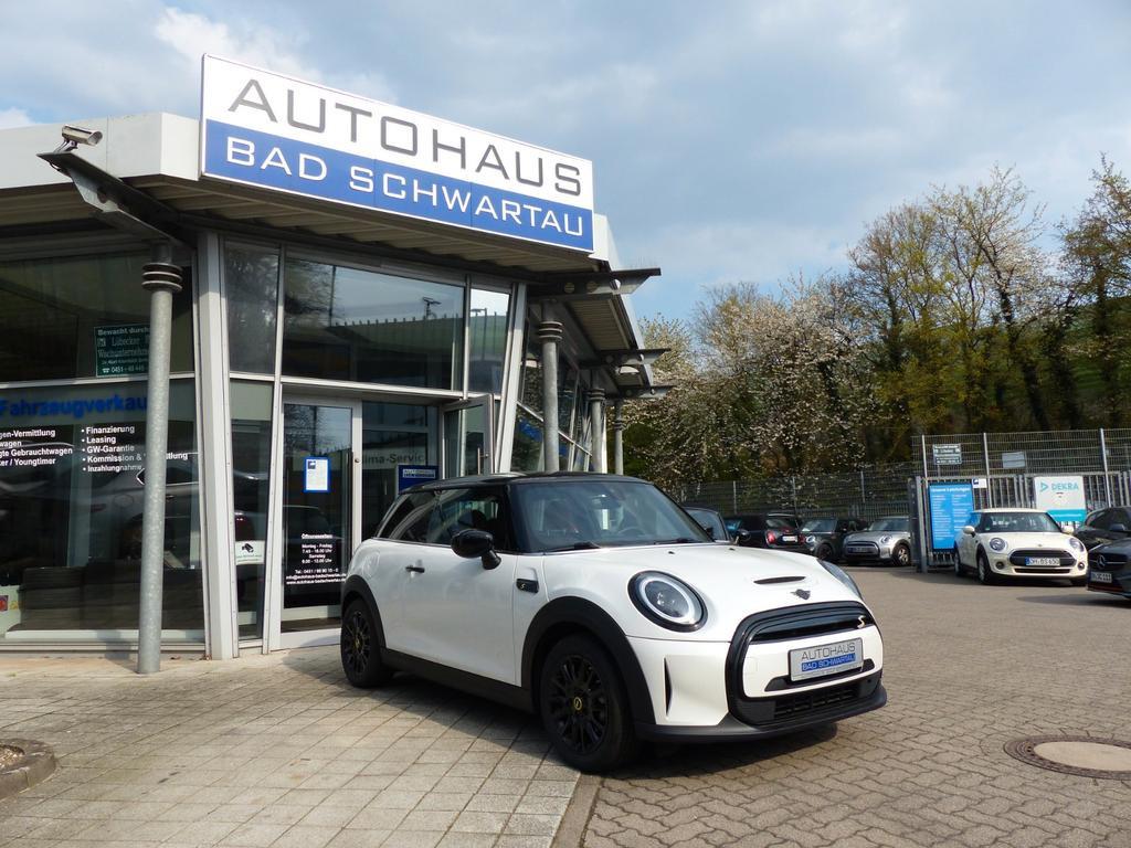 Mini Mini Electric