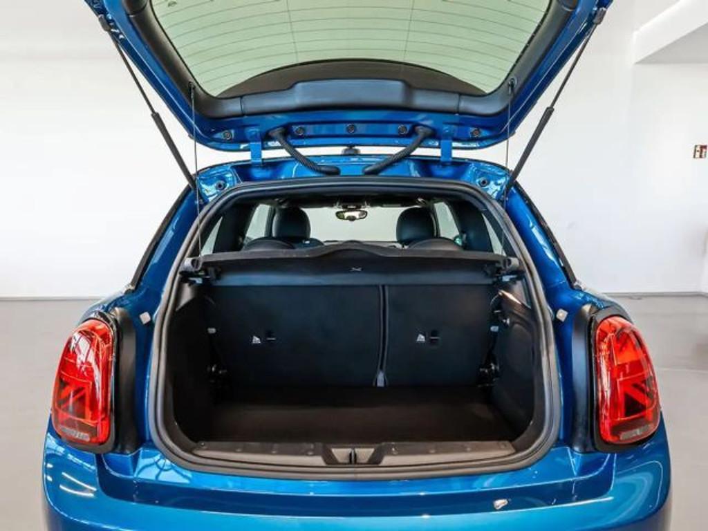 Mini Mini Electric