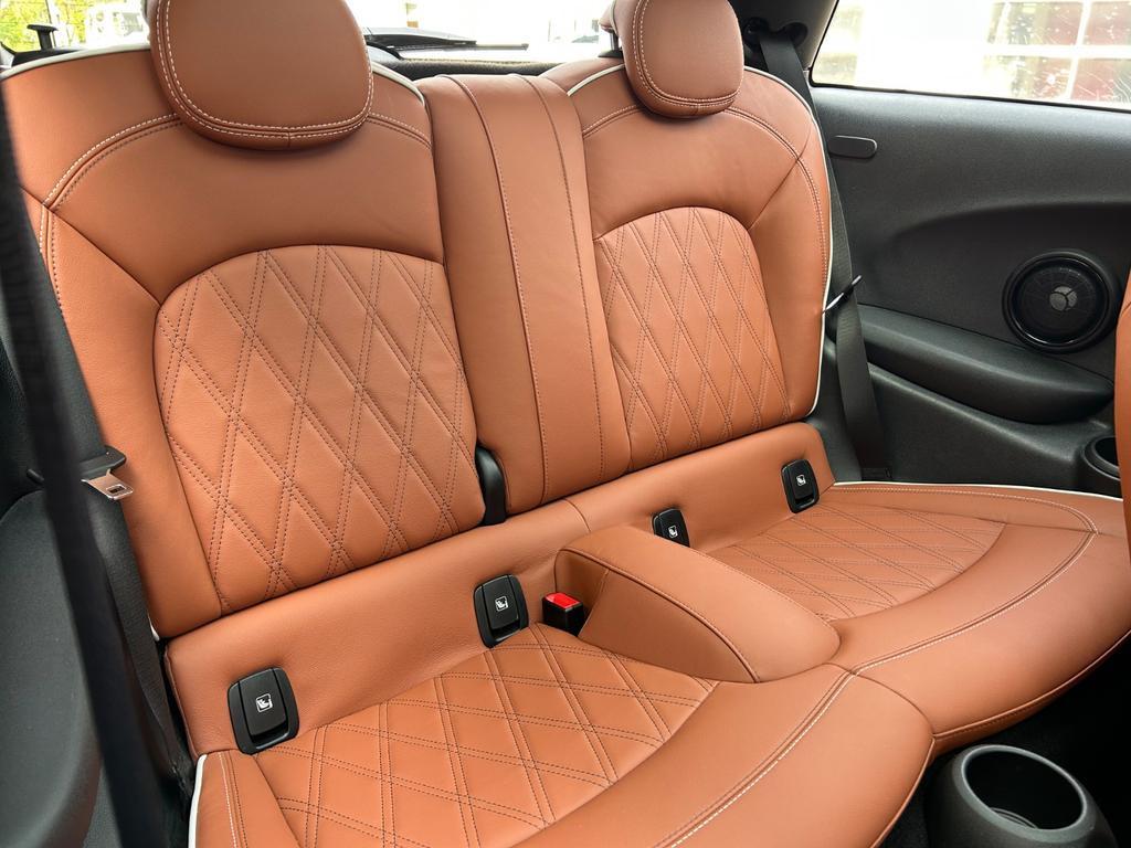 Mini Mini Electric
