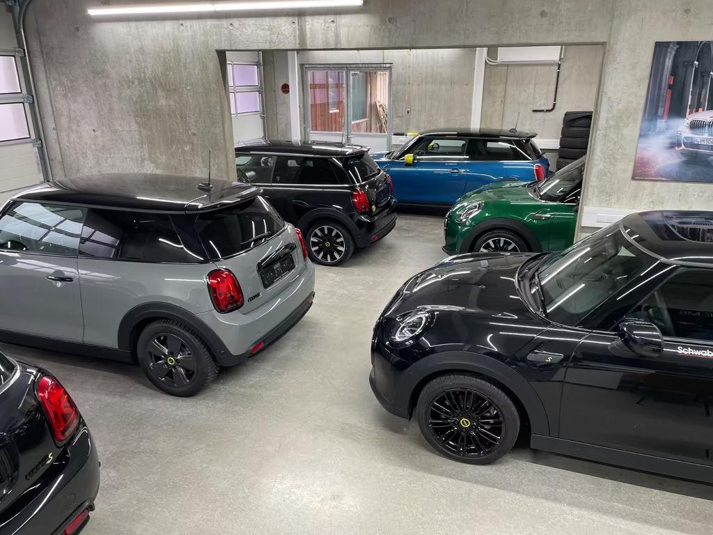 Mini Mini Electric