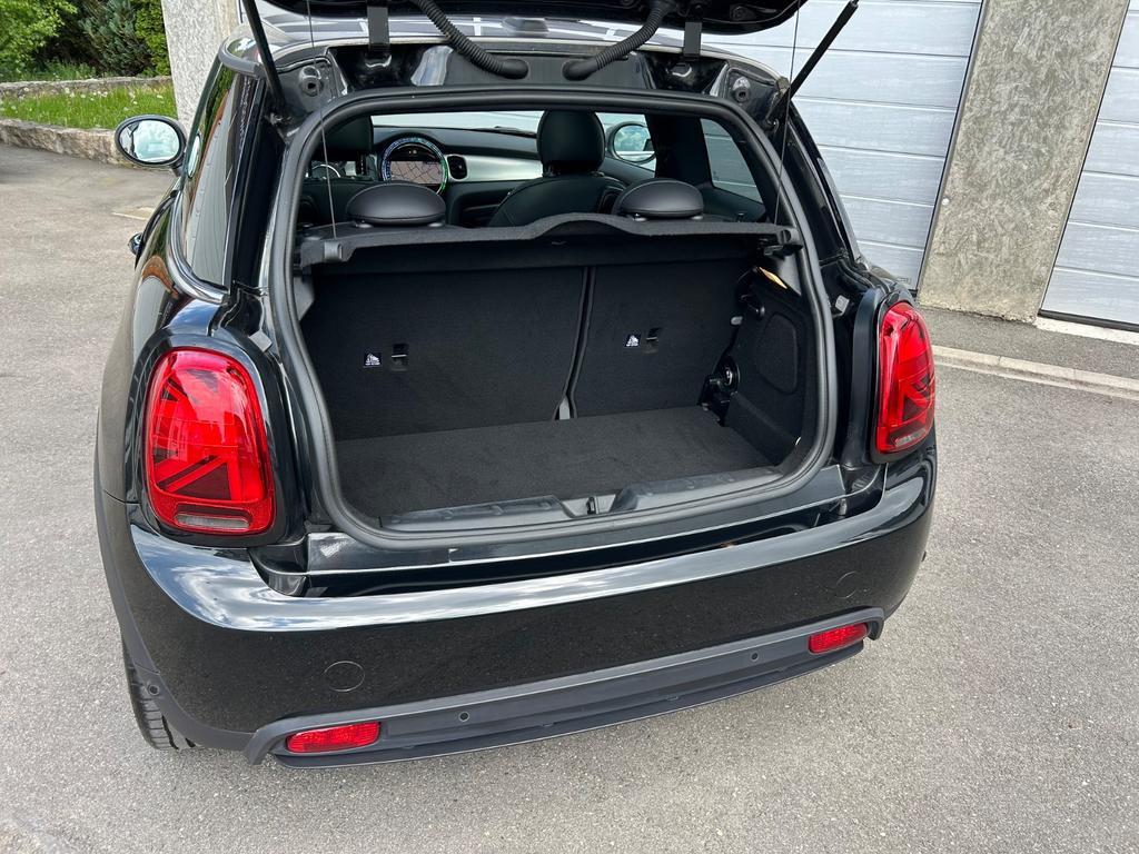 Mini Mini Electric