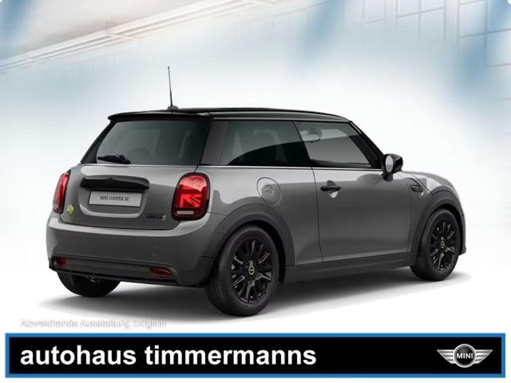 Mini Mini Electric