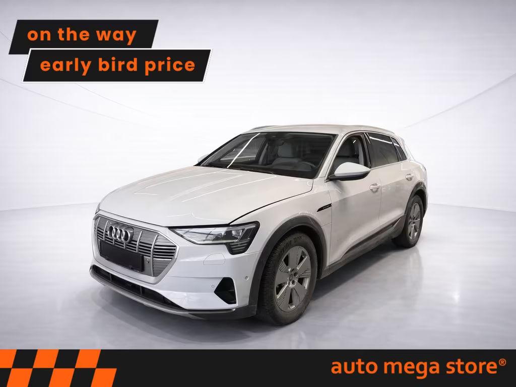 Audi e-tron 2021 Elektrisch