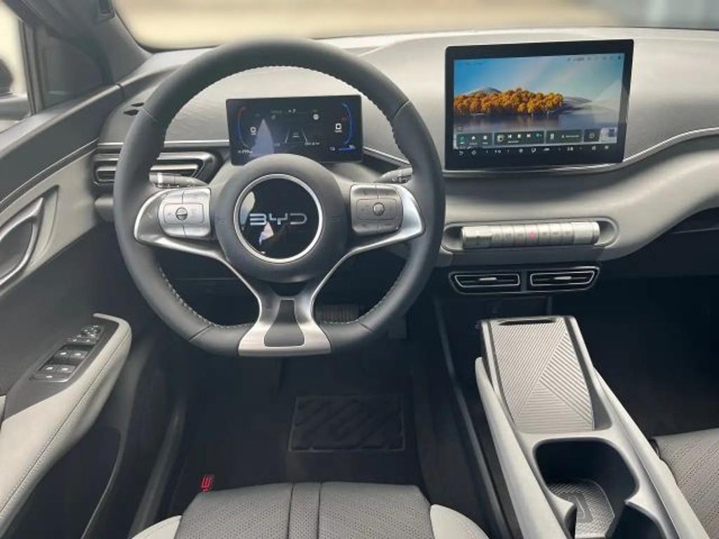 BYD Dolphin Surf