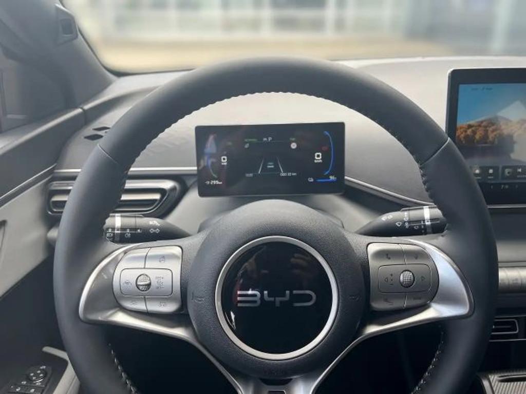 BYD Dolphin Surf