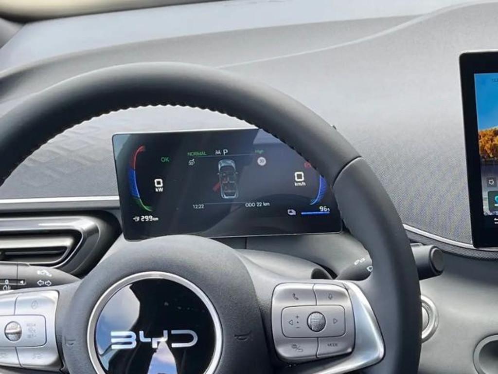 BYD Dolphin Surf