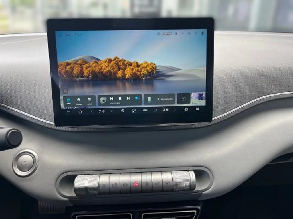 BYD Dolphin Surf