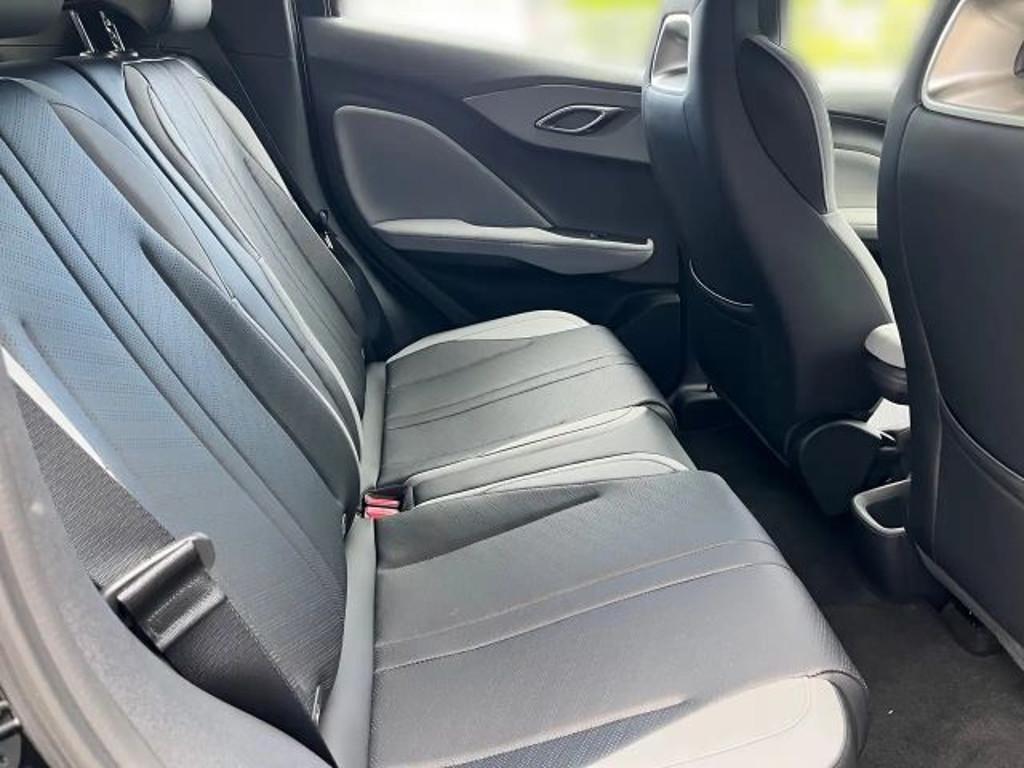 BYD Dolphin Surf