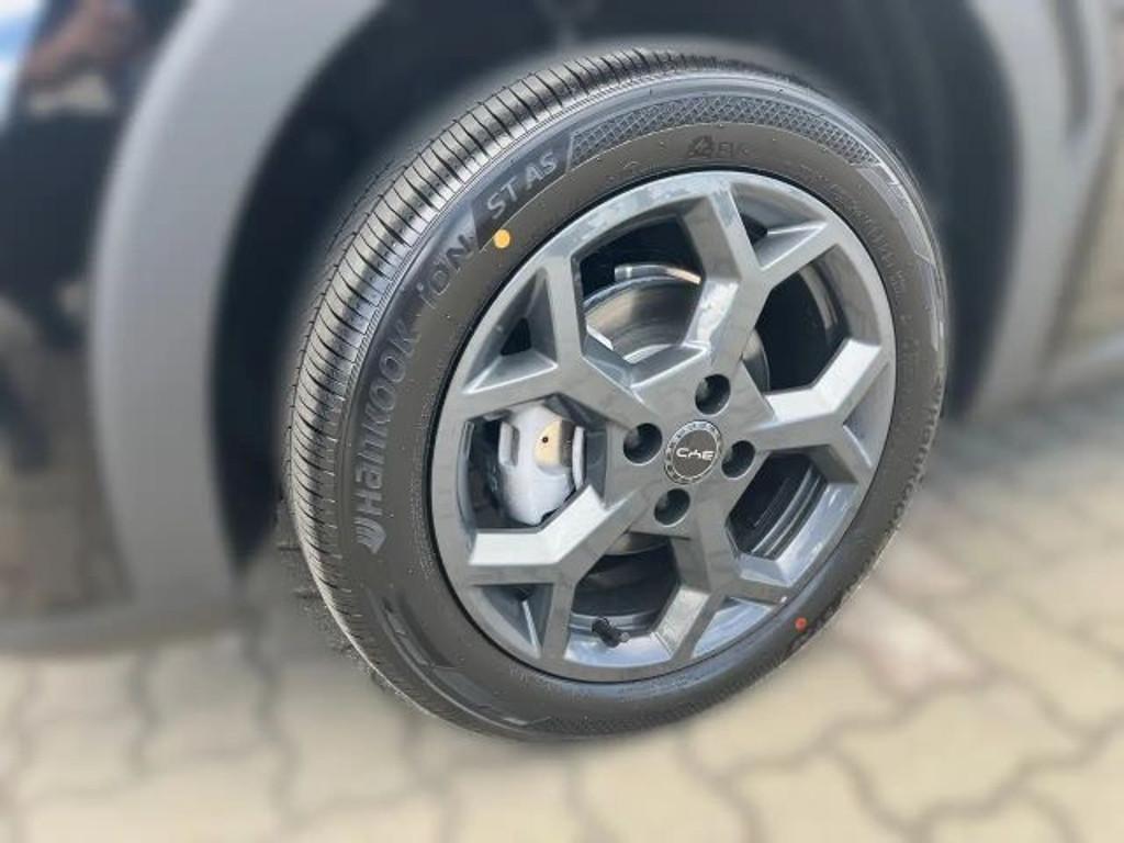 BYD Dolphin Surf