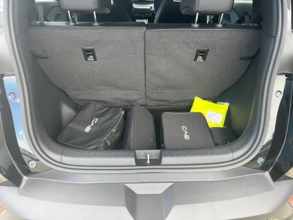 BYD Dolphin Surf