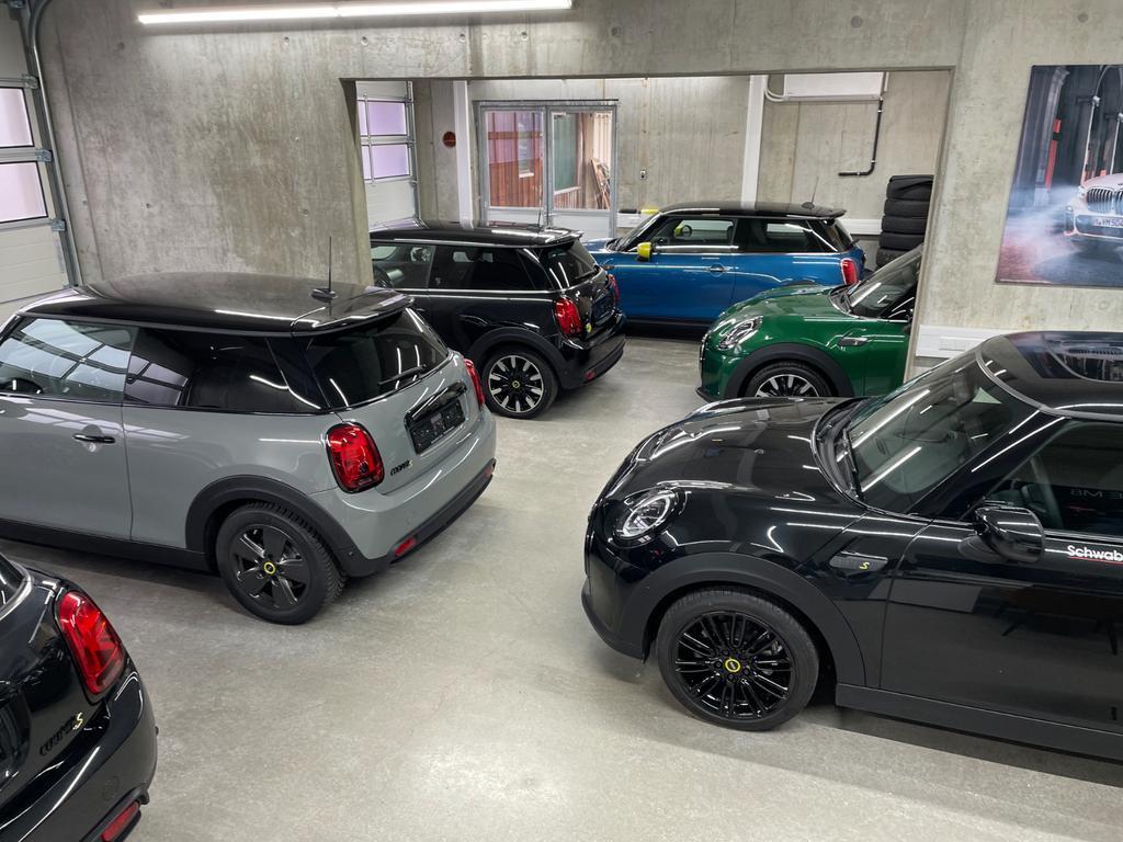 Mini Mini Electric