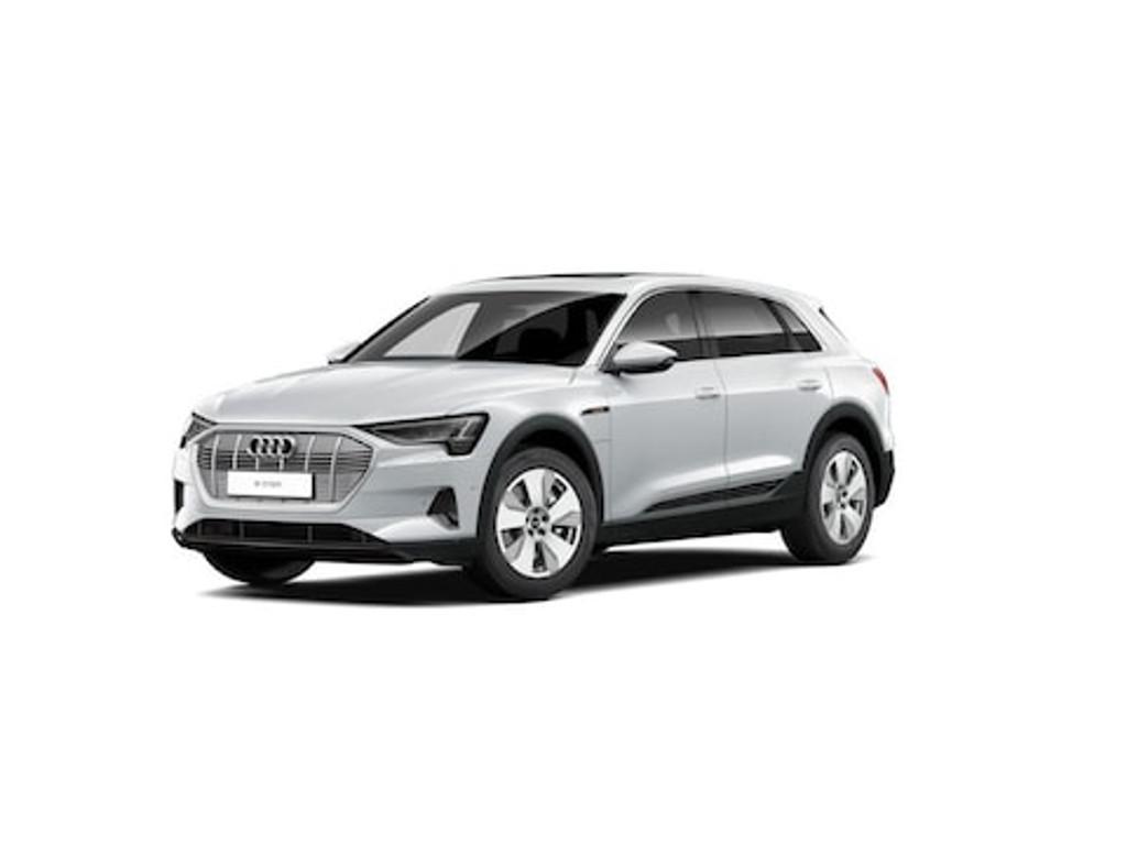 Audi e-tron 2022 Elektrisch