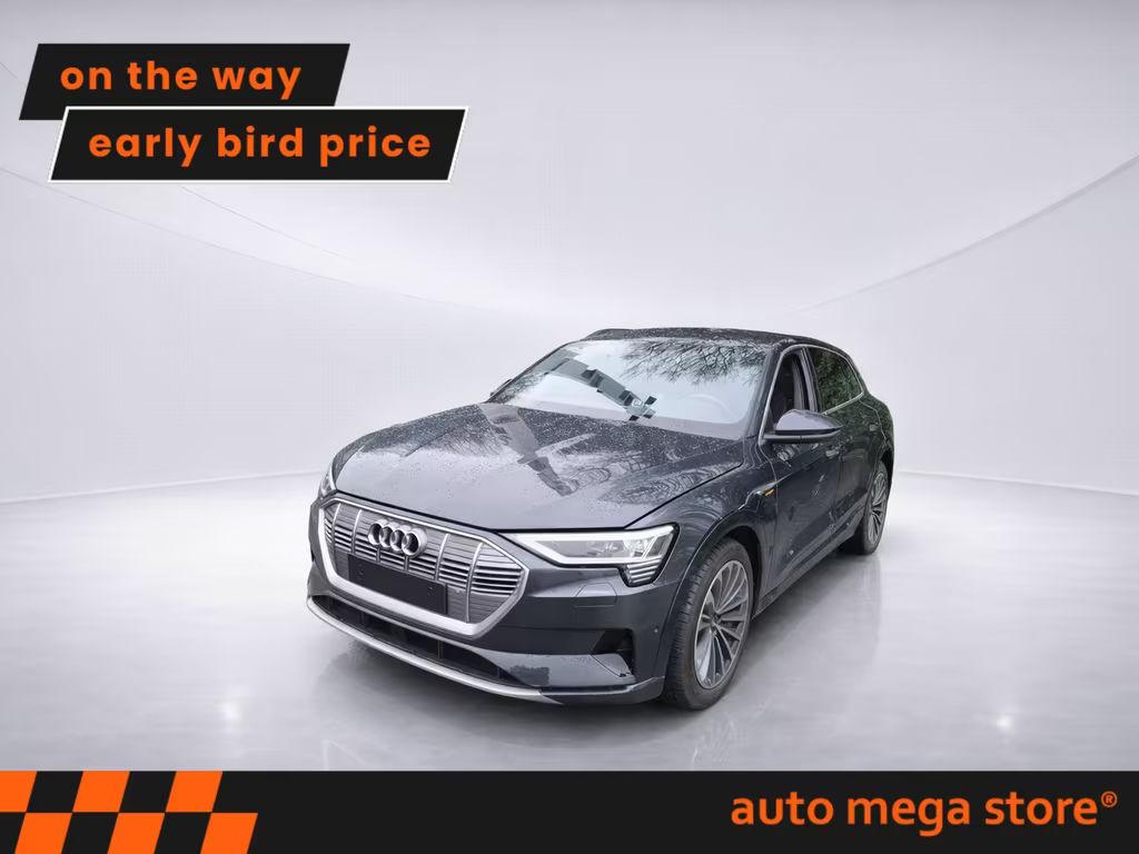 Audi e-tron 2023 Elektrisch