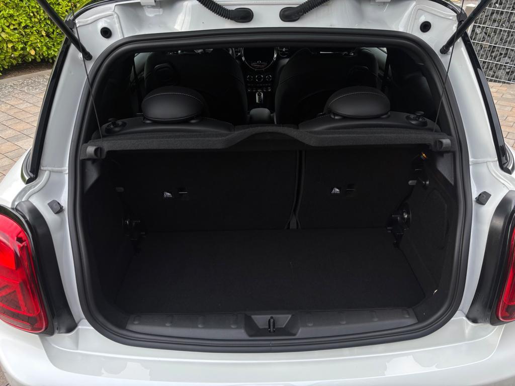 Mini Mini Electric