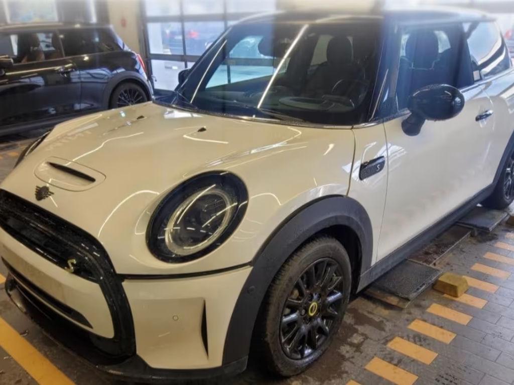 Mini Mini Electric