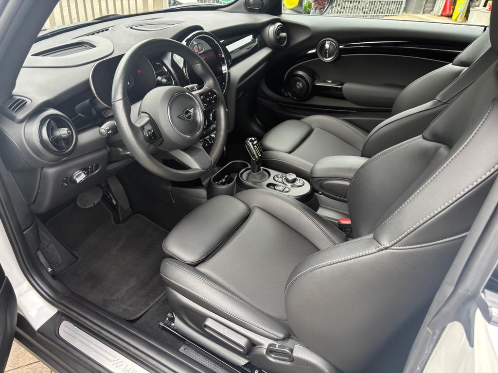 Mini Mini Electric