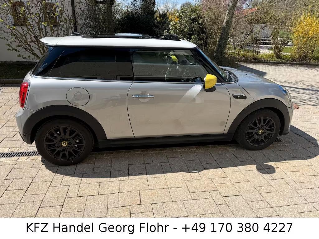 Mini Mini Electric