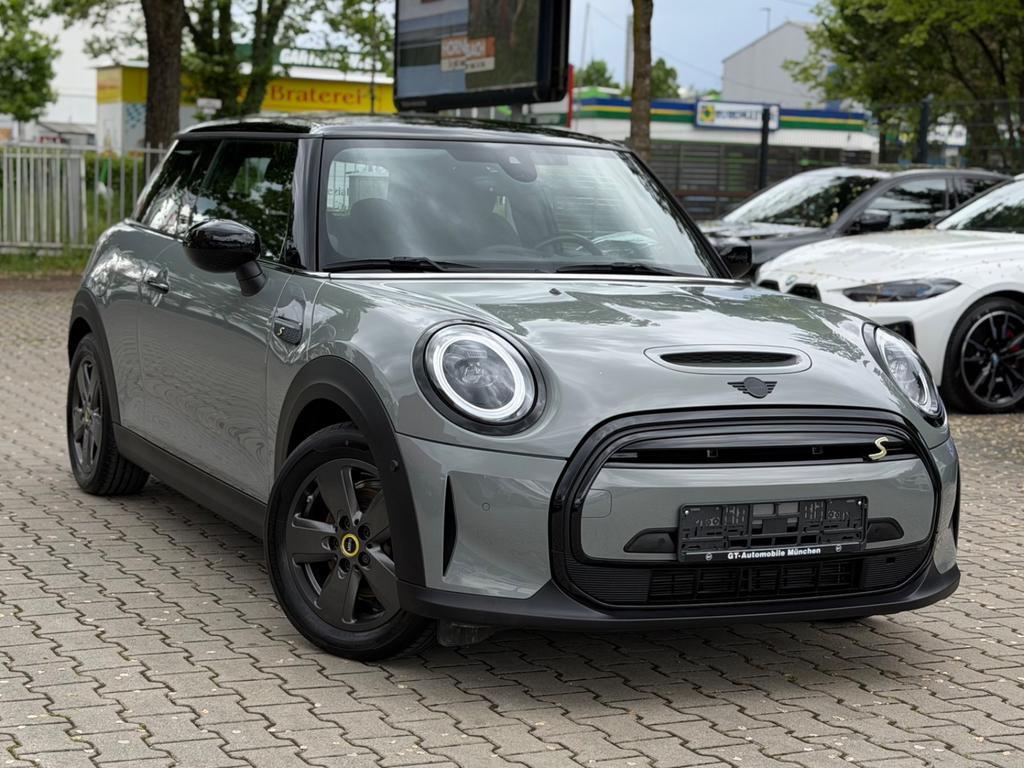 Mini Mini Electric
