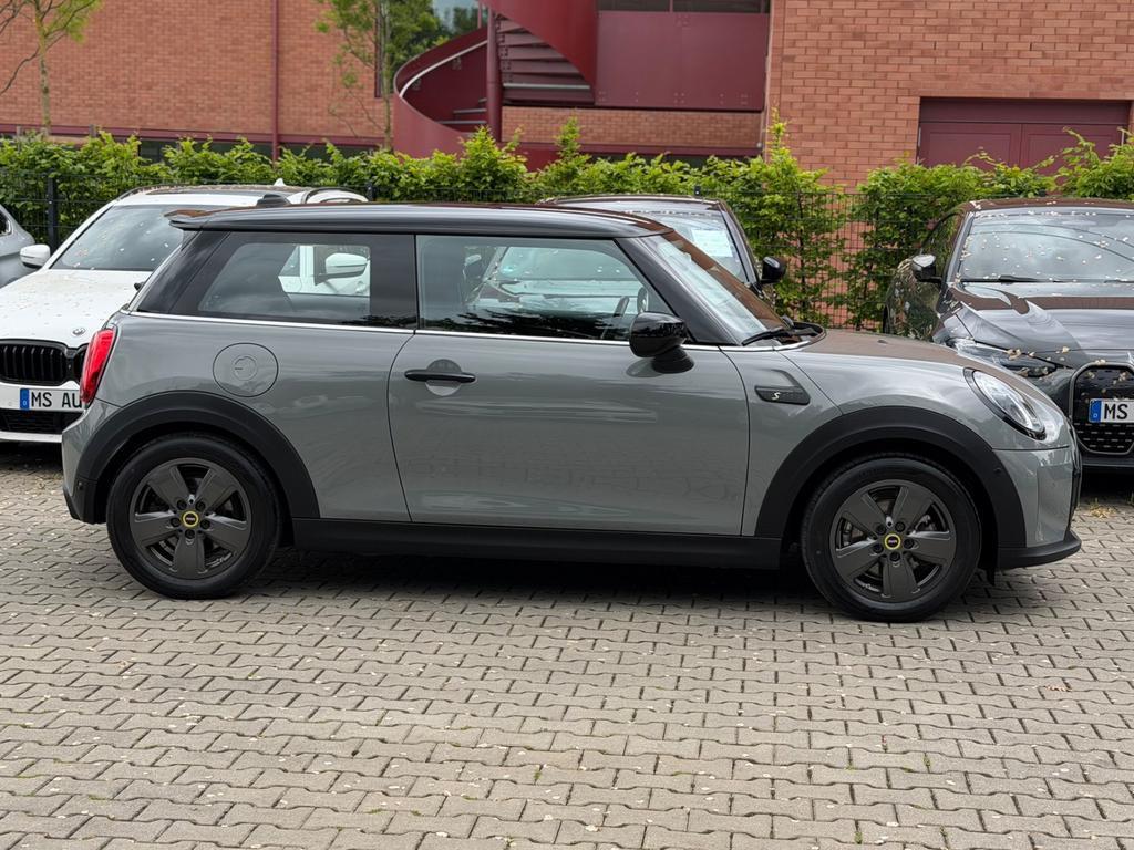 Mini Mini Electric