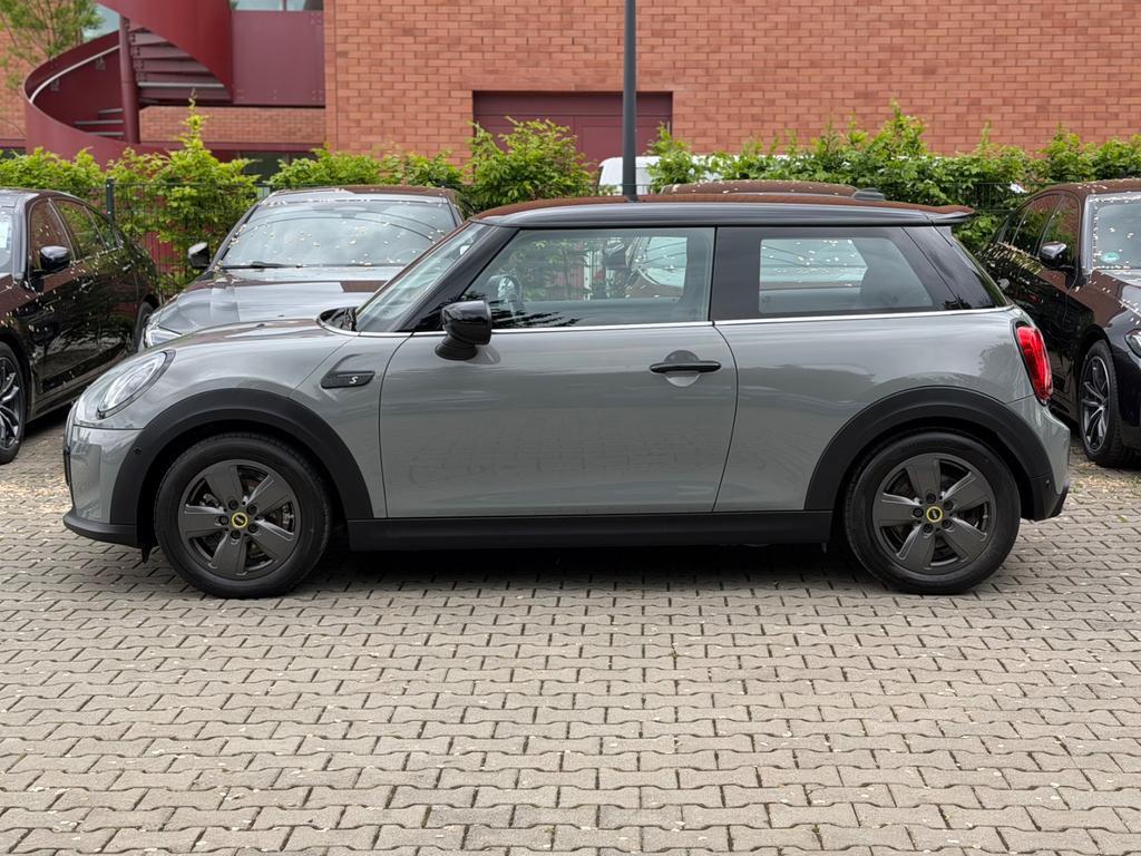 Mini Mini Electric