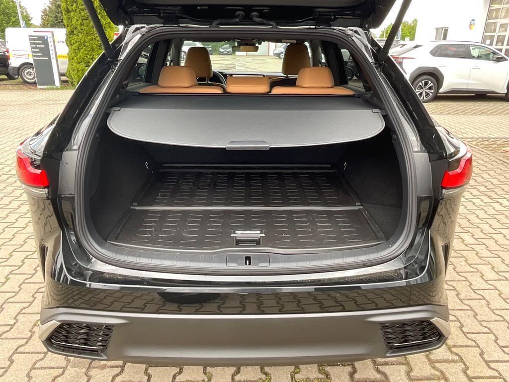 Lexus RX-Serie