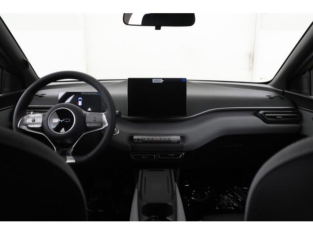 BYD Dolphin Surf