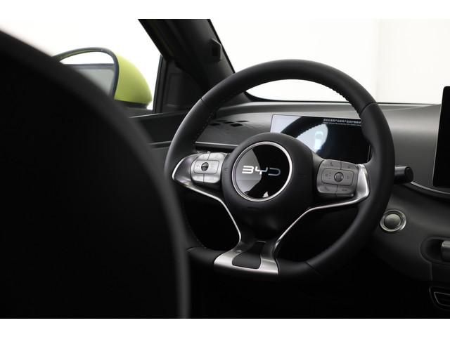BYD Dolphin Surf