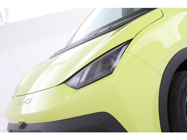 BYD Dolphin Surf