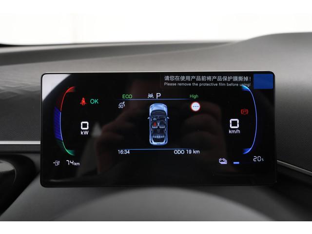 BYD Dolphin Surf